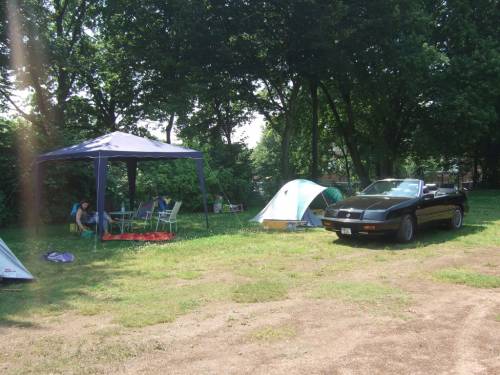 pic2.jpg
