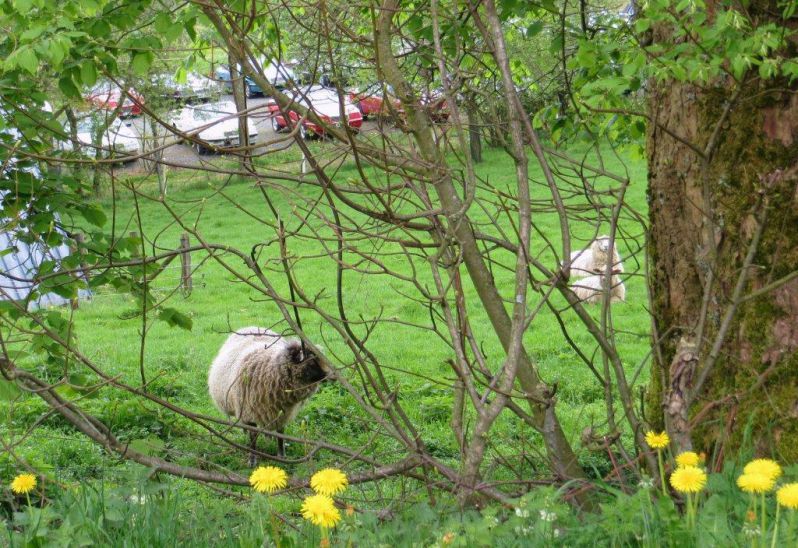 SaisonerÃ¶ffnung 2014, Sauerland
