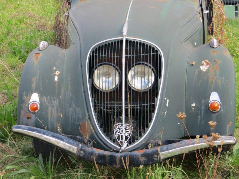 Saisonabschlussfahrt "Kaiserlich schwebend"
