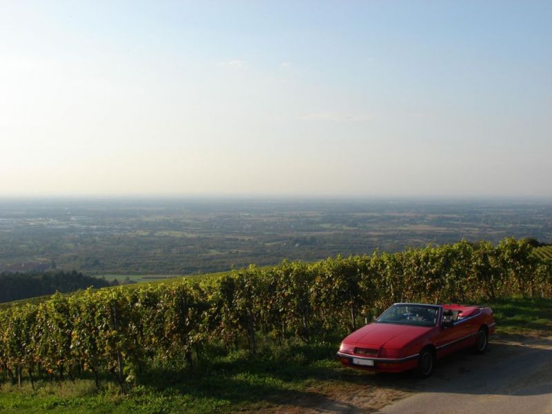 Im Badner Land
Goldener Oktober im schÃ¶nen Badner Land, mitten in den
Weinreben mit Blick ins Elsass.
Schlüsselwörter: Panorama