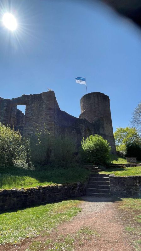 Besichtigung der Burgruine in Polle
Weser-Bergland Tour 25. April 2026
Bodenwerder - Rühler Schweiz - Burgruine Polle - Schloss Hämelschenburg
Schlüsselwörter: Saisoneröffnung;2026;Weser-Bergland;Tour;Hannover