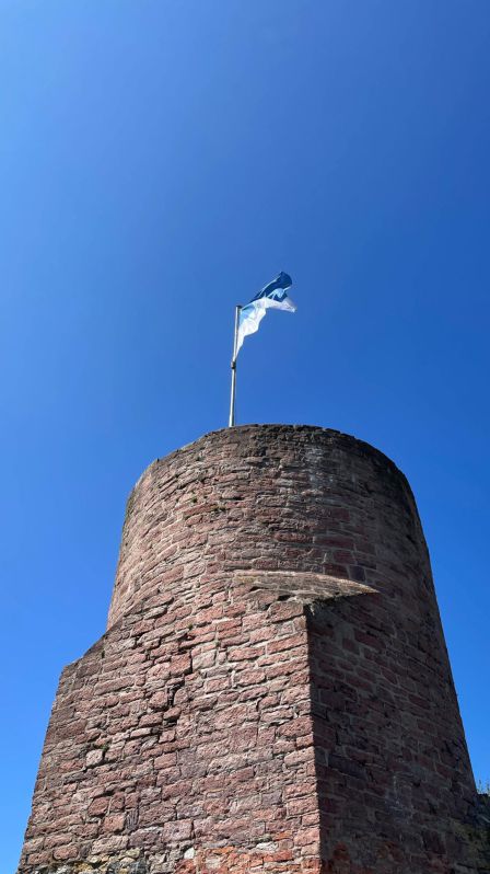 Besichtigung der Burgruine in Polle
Weser-Bergland Tour 25. April 2026
Bodenwerder - Rühler Schweiz - Burgruine Polle - Schloss Hämelschenburg
Schlüsselwörter: Saisoneröffnung;2026;Weser-Bergland;Tour;Hannover