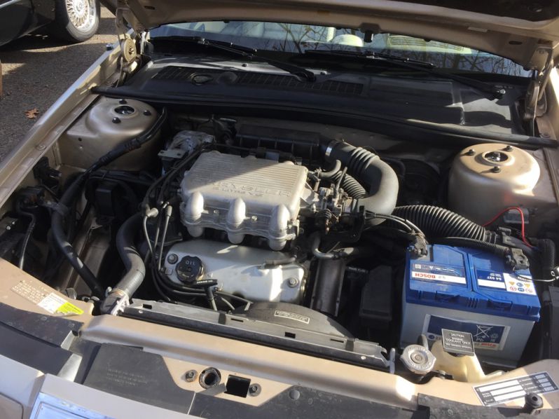 Ein Prototyp???
Schlüsselwörter: Saisonabschluss;2019