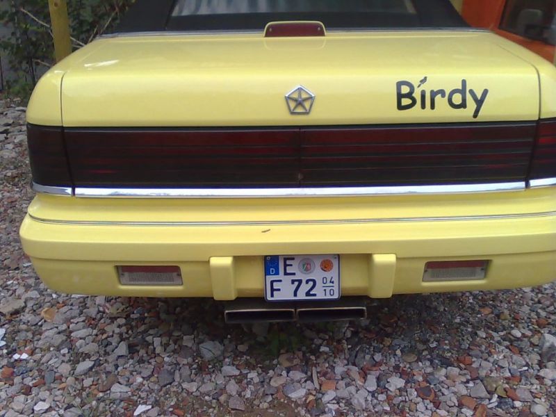 Kleines KFZ-Schild
Kleinste Kennzeichen das geht. 200 x 100mm
