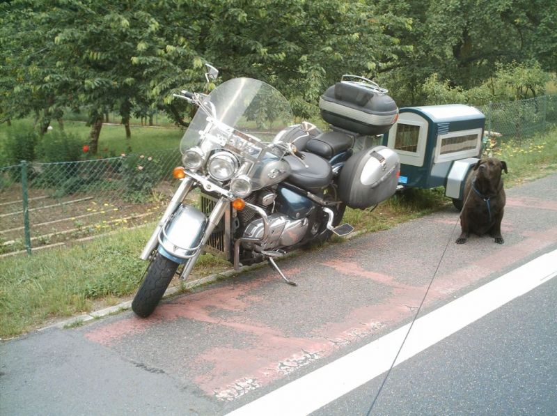 bisquit :-)    wurde am 07.05.2015 gegen 11:45 h erlÃ¶st 
