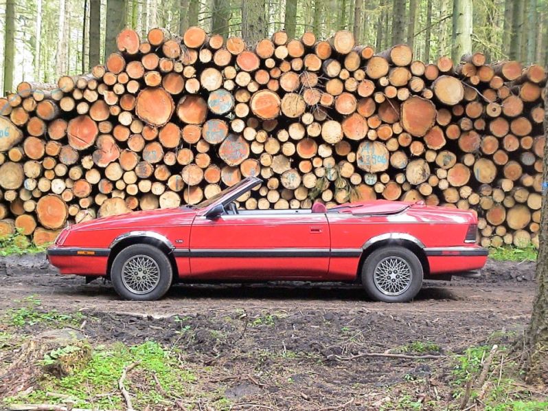 Im Wald 2
aufgenommen in 2008
