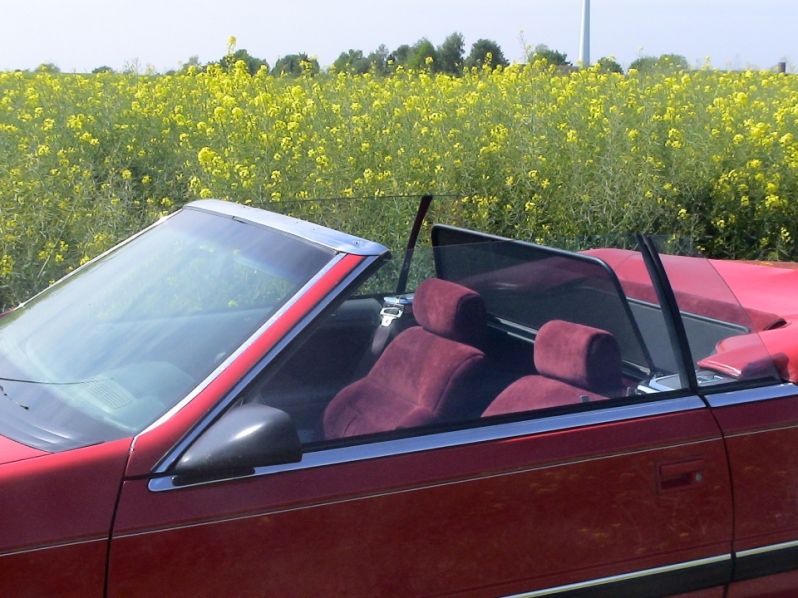 Die passende Ausstattung fÃ¼r ein Rollsofa
