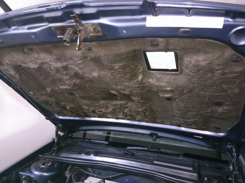 MotorhaubendÃ¤mmung /-Verkleidung
Schlüsselwörter: Motorhaube;DÃ¤mmung;Verkleidung