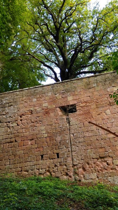 TraumstraÃŸen Pfalz
Burg Berwartstein
Schlüsselwörter: TraumstraÃŸen Pfalz - Rundfahrt am 23. September 2017