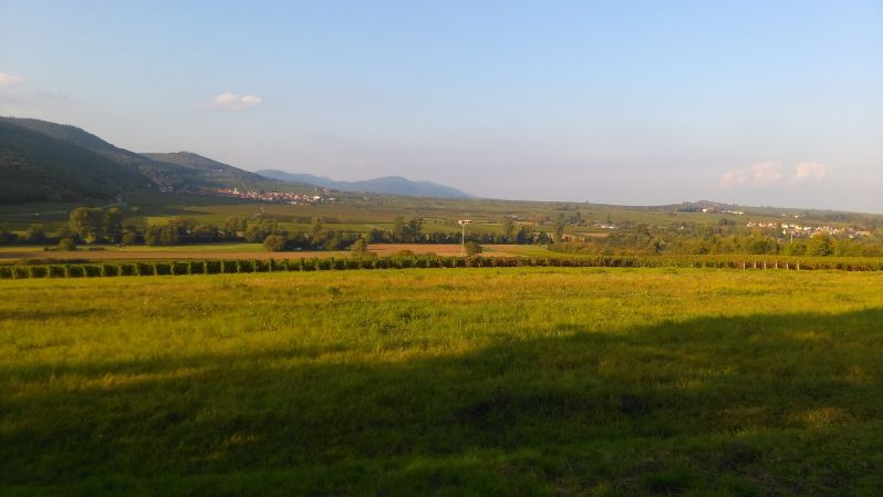 TraumstraÃŸen Pfalz
Deutsche WeinstraÃŸe
Schlüsselwörter: TraumstraÃŸen Pfalz - Rundfahrt am 23. September 2017