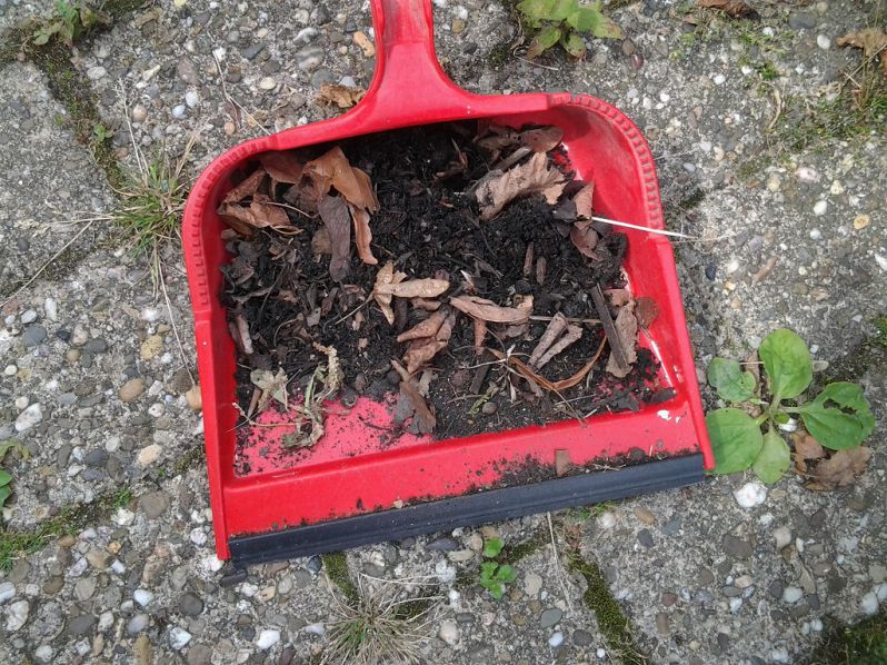 Dreck aus dem Wasserablauf unter KotflÃ¼gel
KÃ¶nnen auch 2 Kehrschaufeln voll sein. Zum GlÃ¼ck verzinkt
